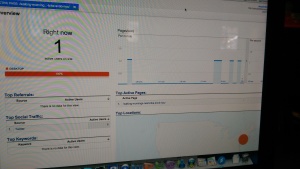 Google Anaytics Real Time Overview Screenshot while Famous Celebrity Visits Admirers Site Via Twitter