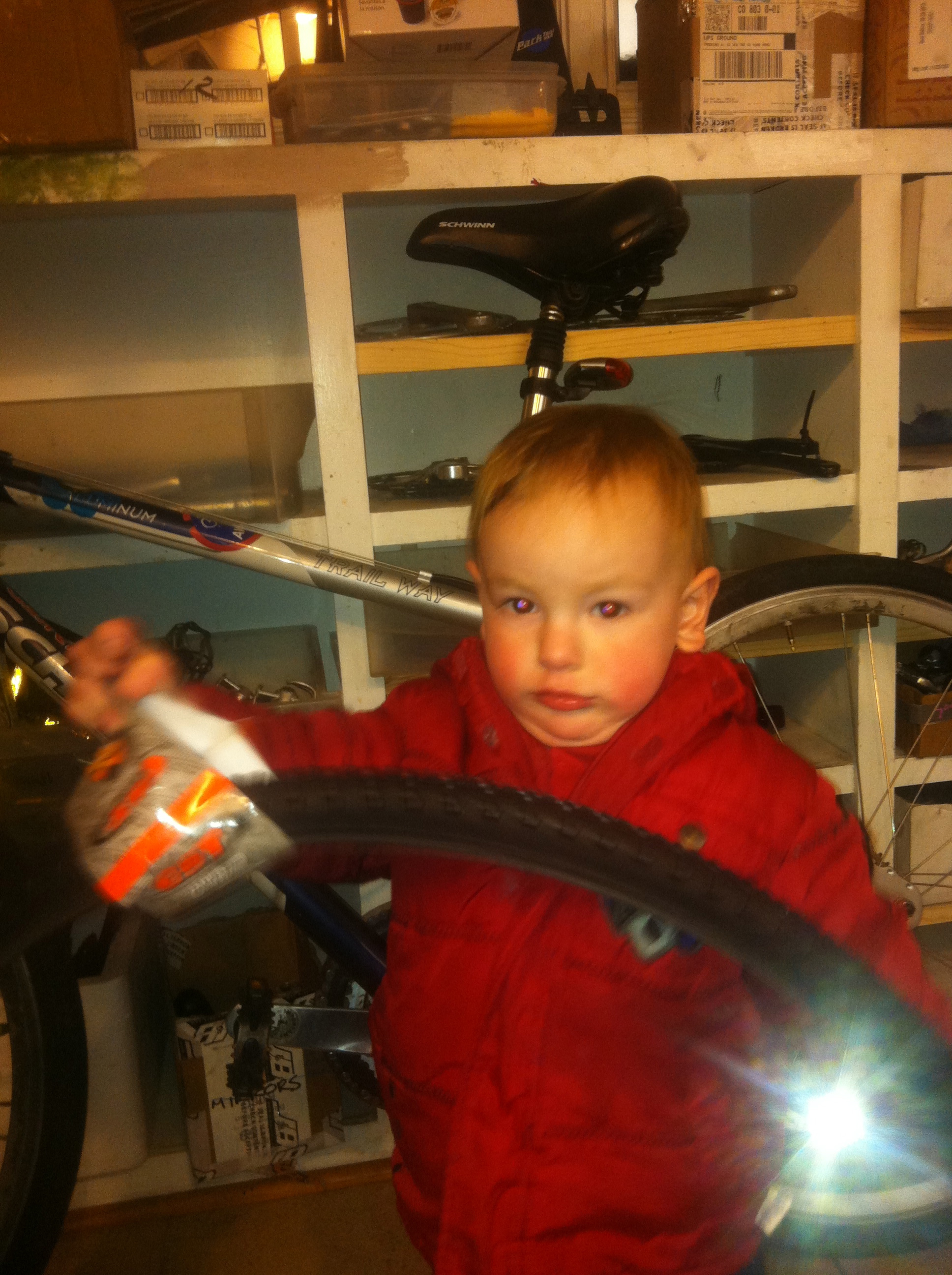 Family in a Bike Shop